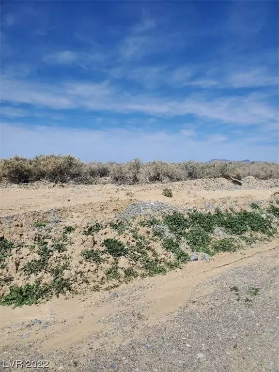 Pahrump, NV 89048,3981 S Kid AVE