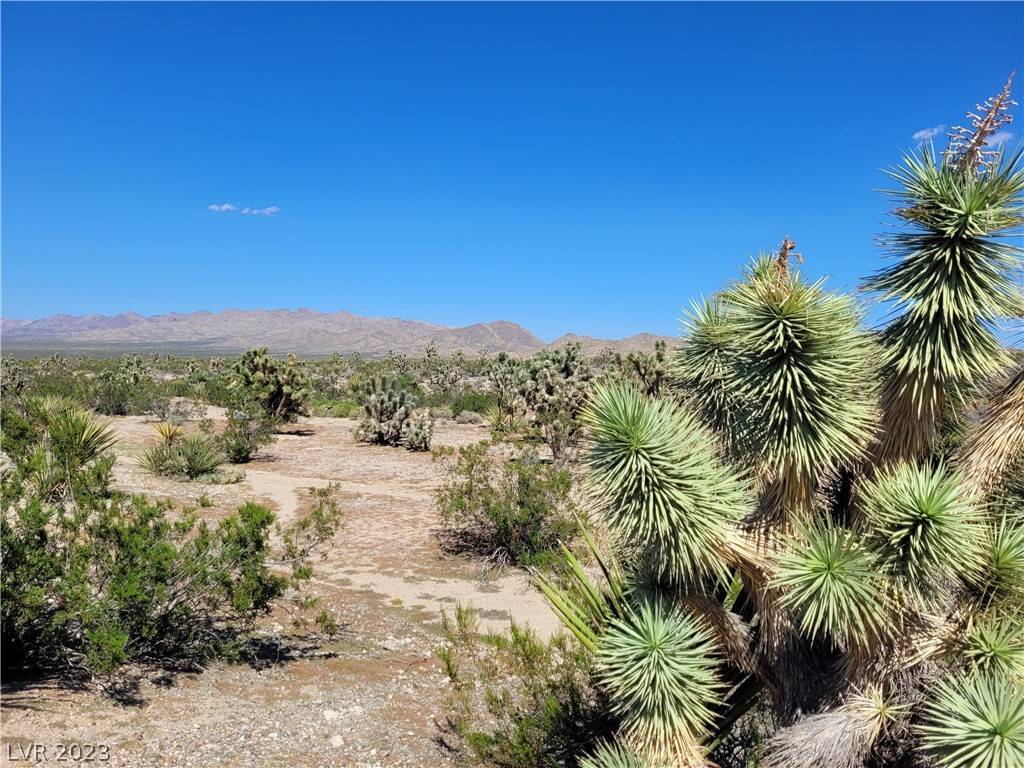 Searchlight, NV 89046,0 Little Mike Road