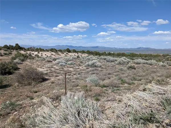 Pioche, NV 89043,359 Ponderosa Pine ST