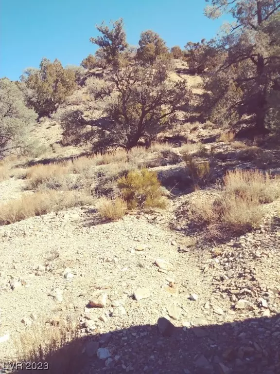 Other, NV 89013,APN: 000-000-24