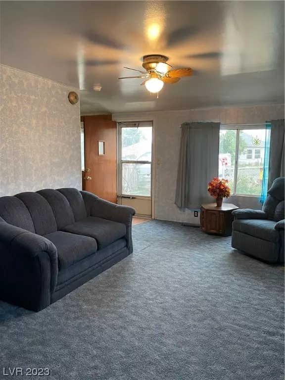 Mcgill, NV 89318,27 Avenue D