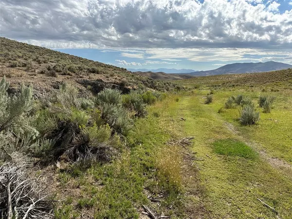Elko, NV 89801,160 Acres White Rock
