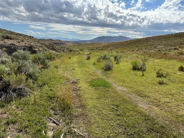 Elko, NV 89801,160 Acres White Rock