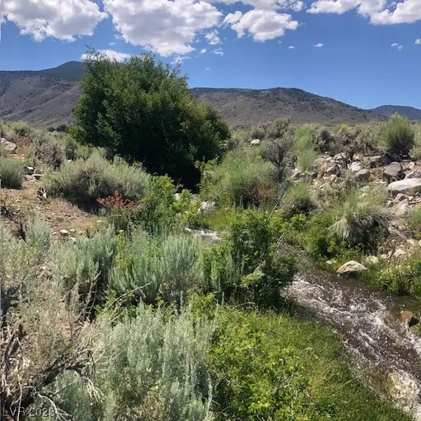 131D Wild Horse Run, Dyer, NV 89010