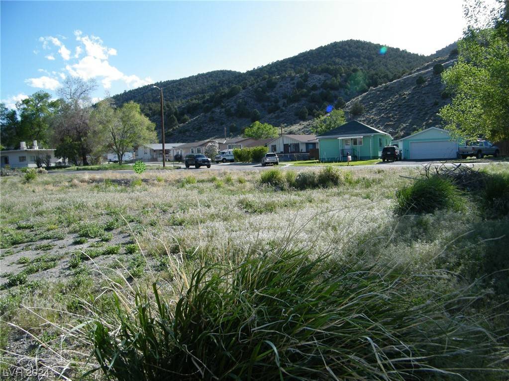 Mill ST, Ely, NV 89301