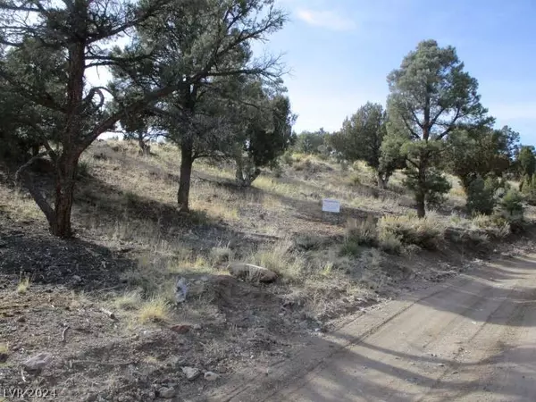 Pioche, NV 89043,Nevada Hwy 322 (13.753 Ac)