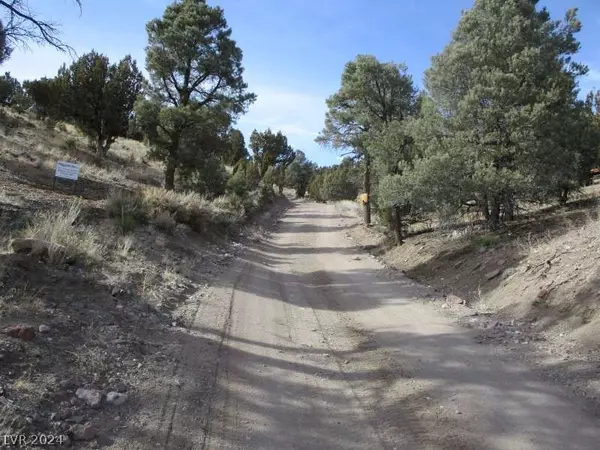 Pioche, NV 89043,Nevada Hwy 322 (13.753 Ac)