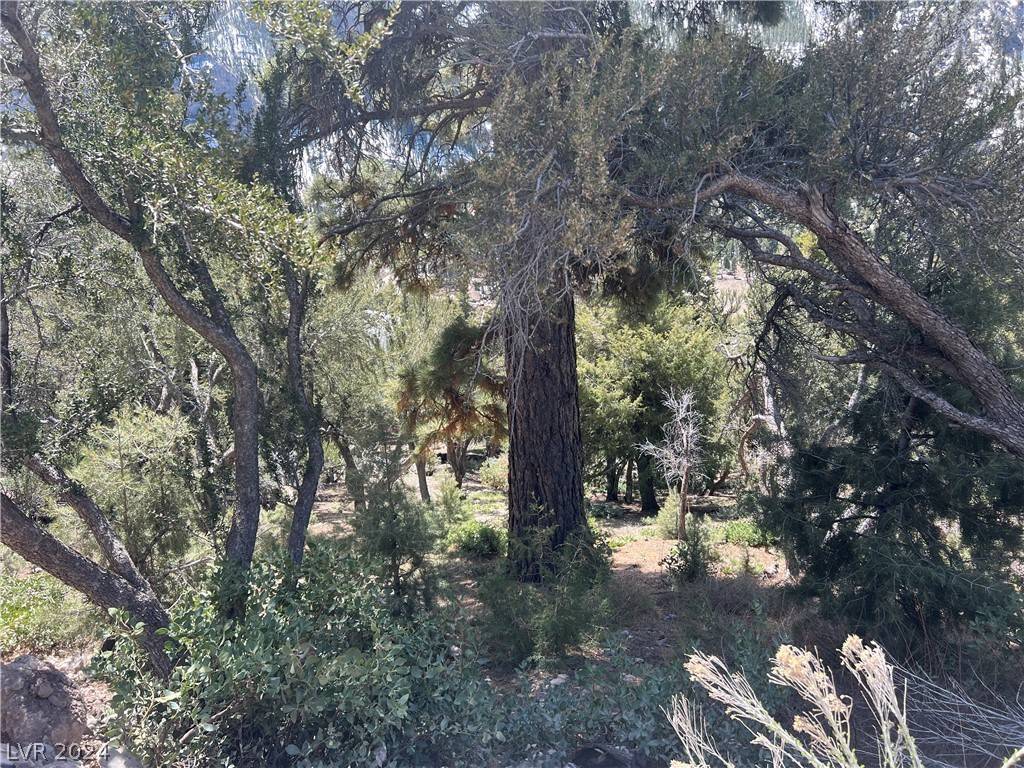 Las Vegas, NV 89124,4887 Snow White RD