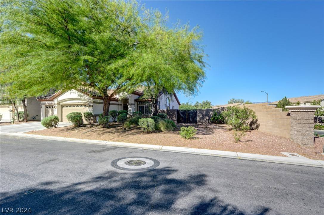 11455 Banyan Reef ST, Las Vegas, NV 89141