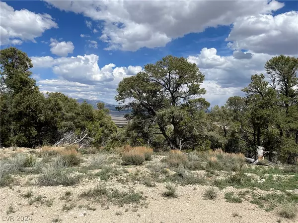 350 E Ward Mountain DR,  Ely,  NV 89301