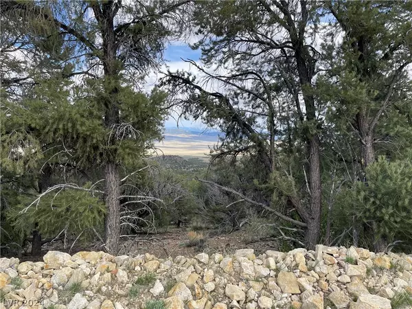 Ely, NV 89301,350 E Ward Mountain DR