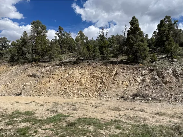 Ely, NV 89301,350 E Ward Mountain DR