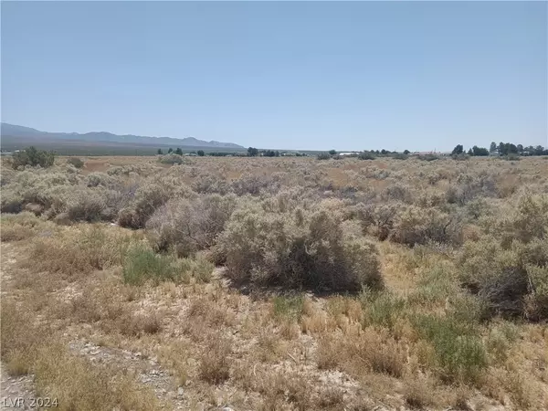 Pahrump, NV 89060,231 E Country Place RD