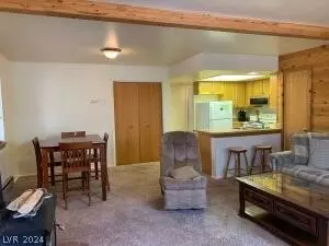 Brian Head, UT 84719,226 S Hwy 143 #24