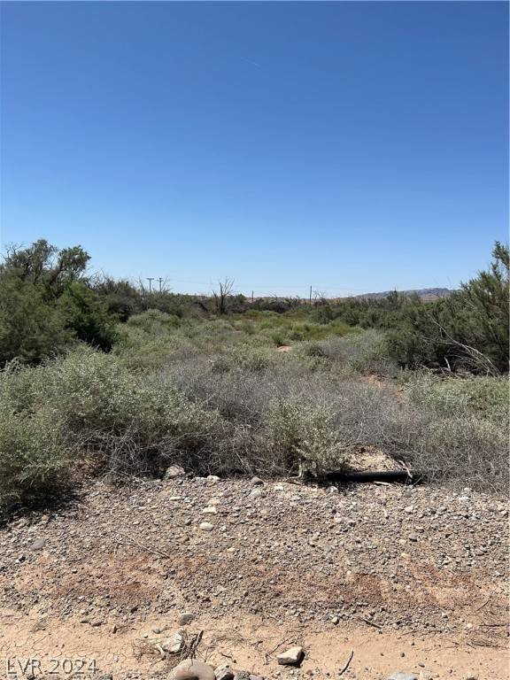 Overton, NV 89040,LEWIS AVE