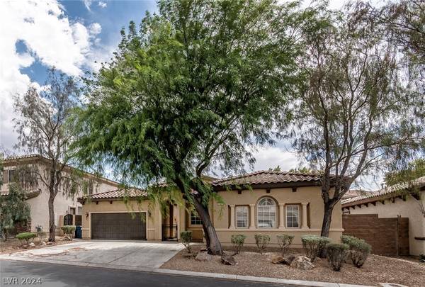 11571 Capanna Rosso PL,  Las Vegas,  NV 89141