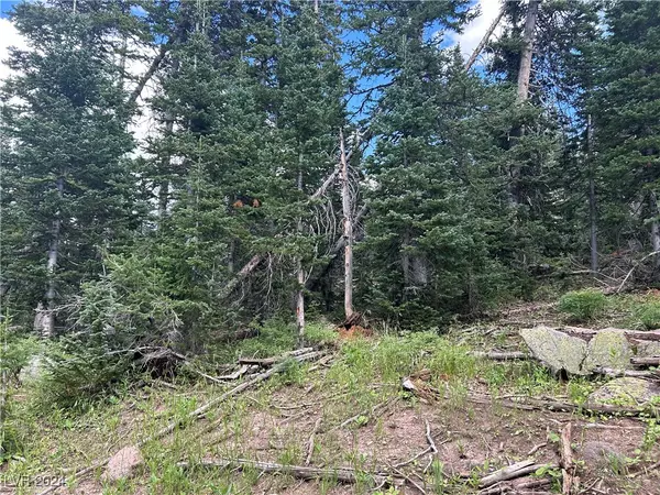 Brian Head, UT 84719,563 Park U Pine Walk