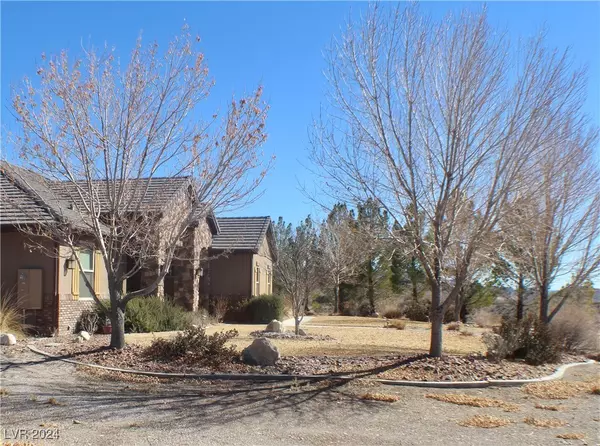 Alamo, NV 89001,995 Higbee Ranch LN