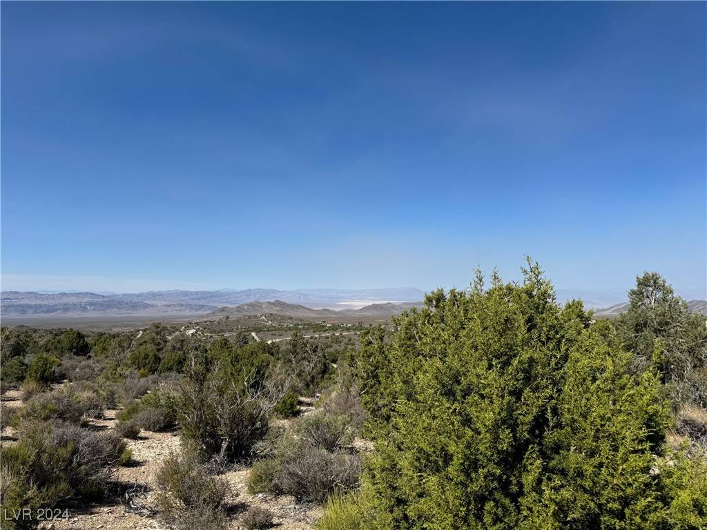 Crockett, Cold Creek, NV 89124