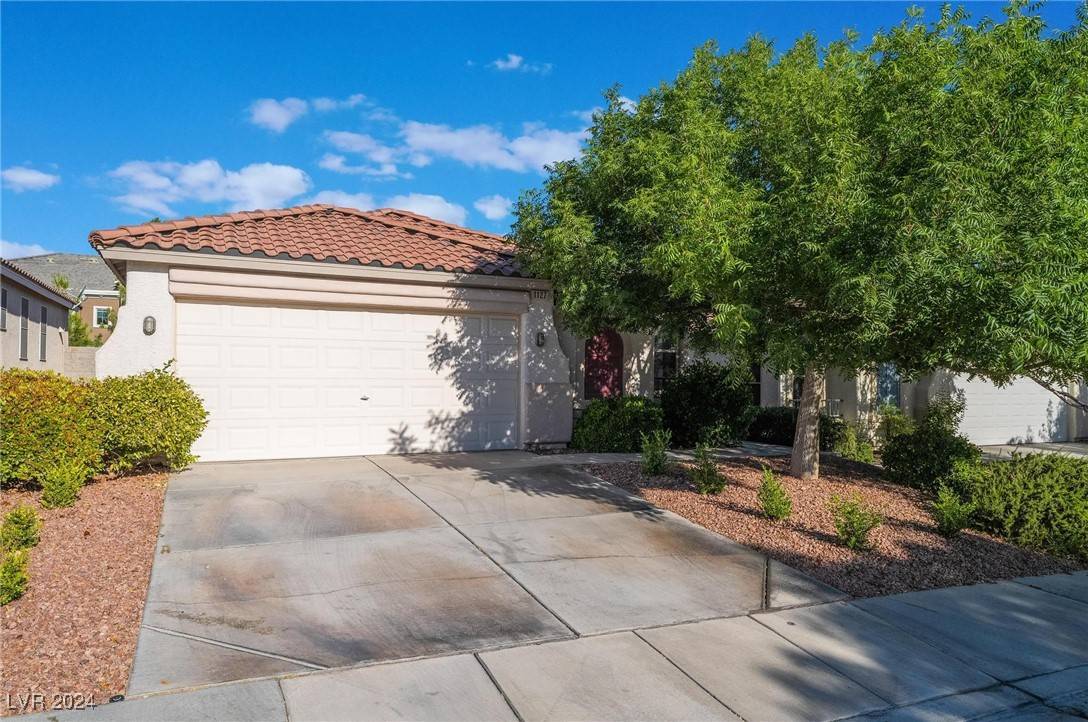 1127 Cathedral Ridge ST, Henderson, NV 89052
