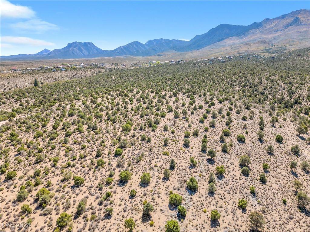 Crockett Access, Cold Creek, NV 89124