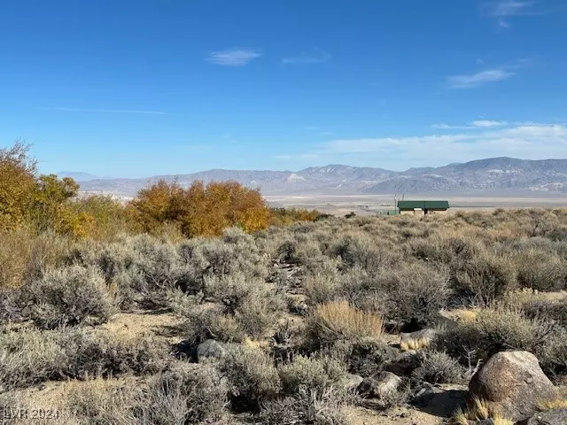 Dyer, NV 89010,840 Davis Meadow TRL