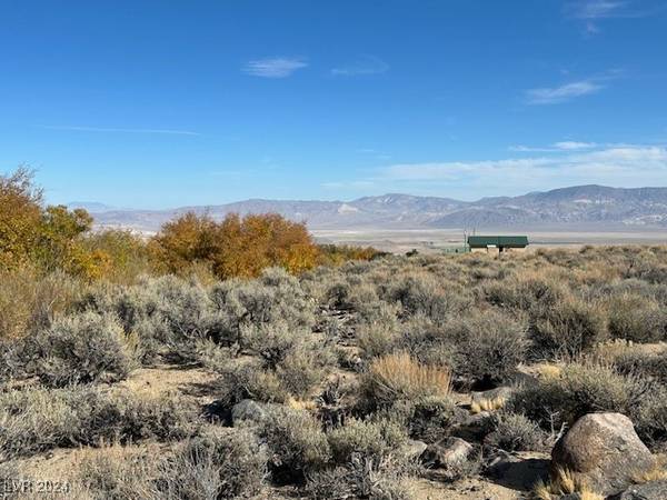 840 Davis Meadow TRL, Dyer, NV 89010