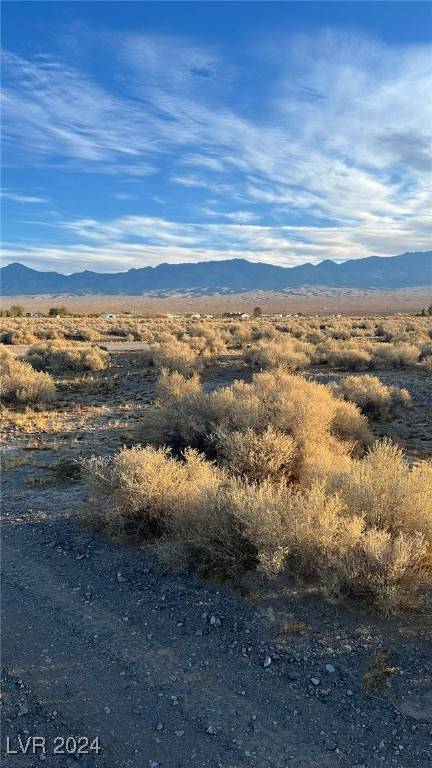 Pahrump, NV 89060,6241 N Beeman AVE