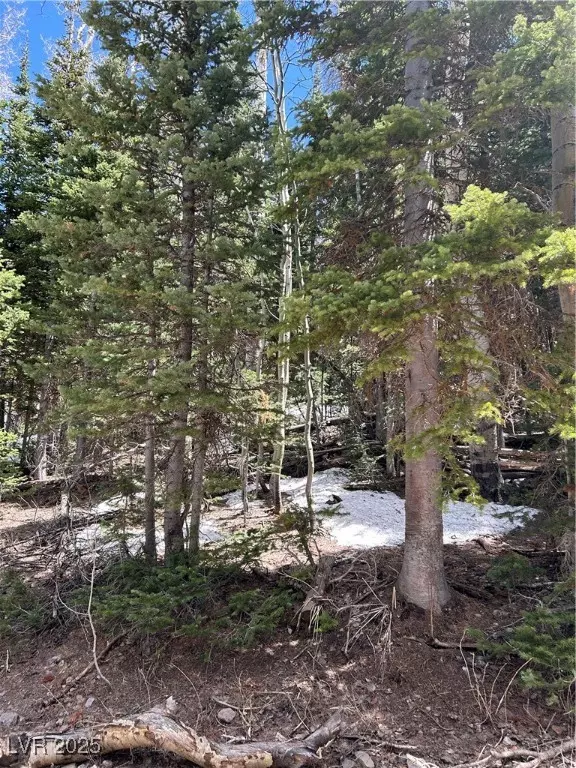 Brian Head, UT 84719,380 N Forest DR