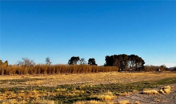 Logandale, NV 89021