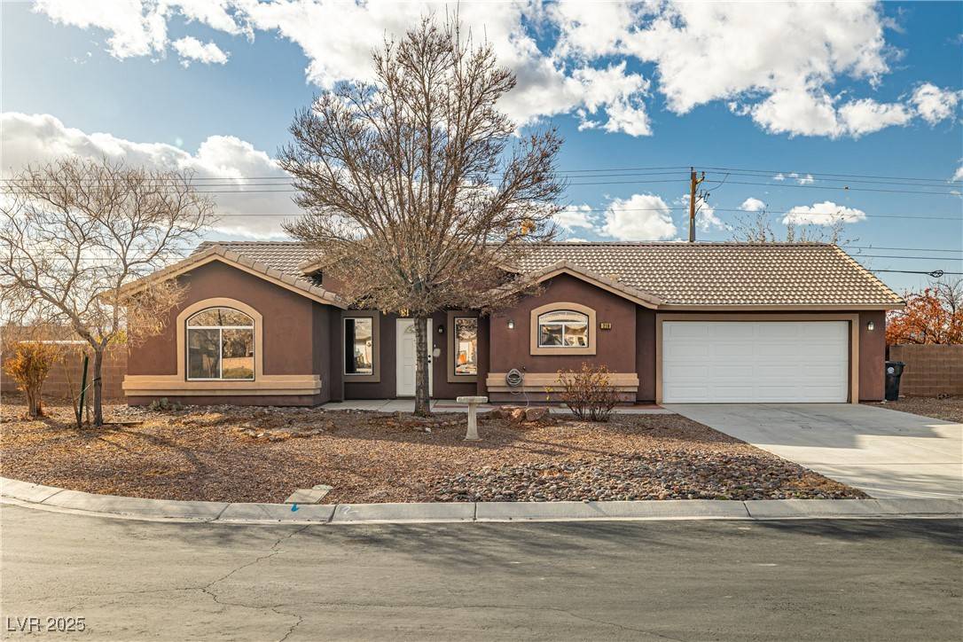Pahrump, NV 89048,210 Bristle Cone