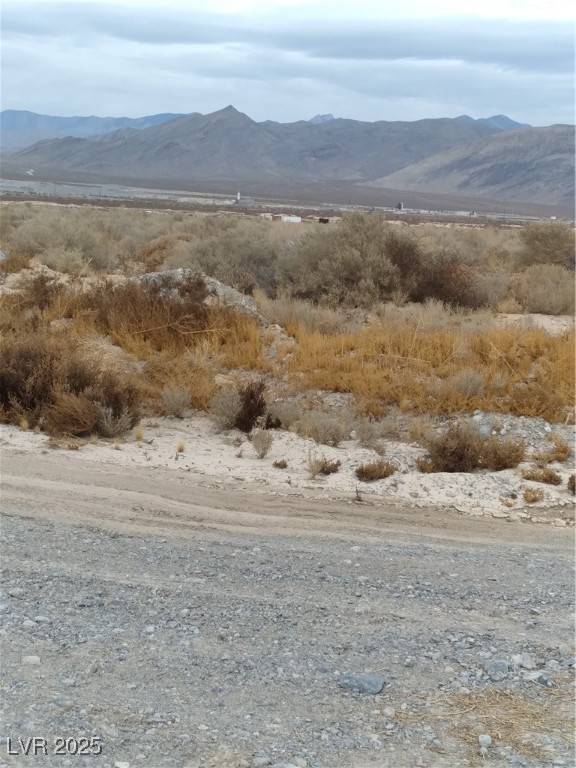 Pahrump, NV 89048,3981 S Lookout AVE