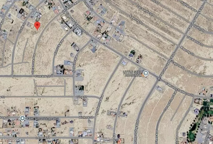 2510 S Sycamore AVE, Pahrump, NV 89048