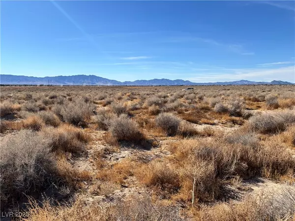 Pahrump, NV 89048,3921 S Hickok AVE