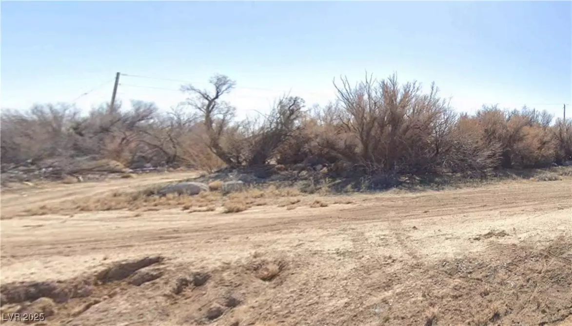 Pahrump, NV 89048,241 Lupin ST