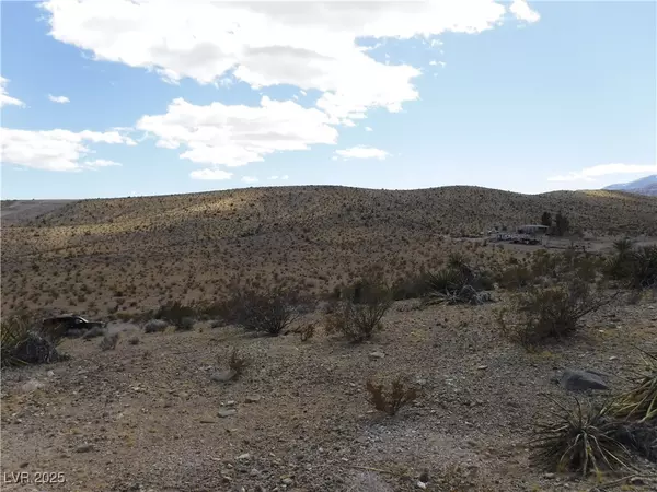 Las Vegas, NV 89161,Cougar