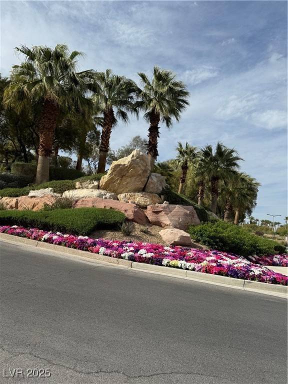 11785 Discovery Canyon DR, Las Vegas, NV 89135