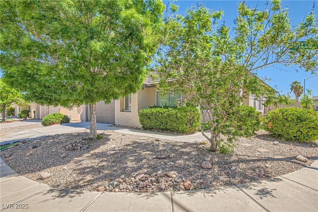 Las Vegas, NV 89131,8141 Guava Nectar AVE