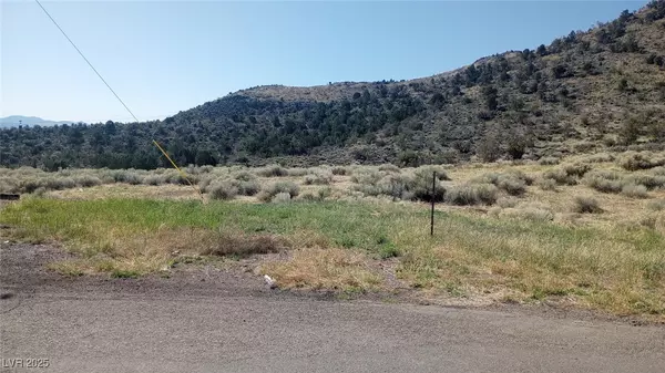 Field ST, Pioche, NV 89043