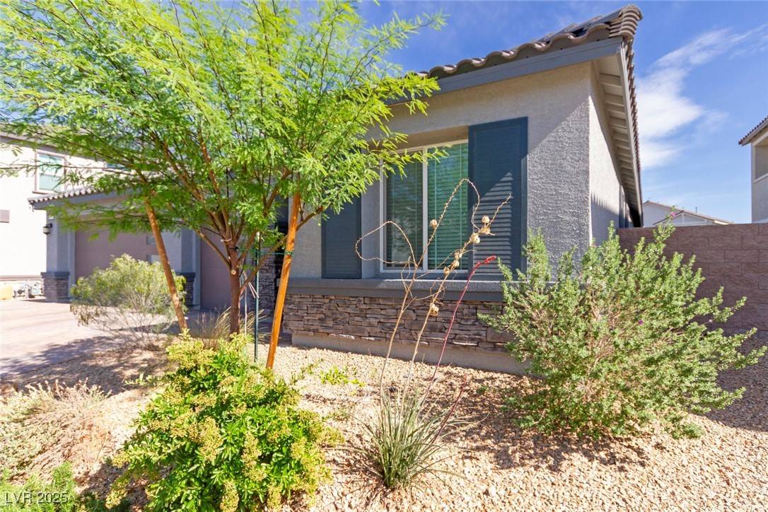 North Las Vegas, NV 89084,3817 Grazing Gazelle AVE