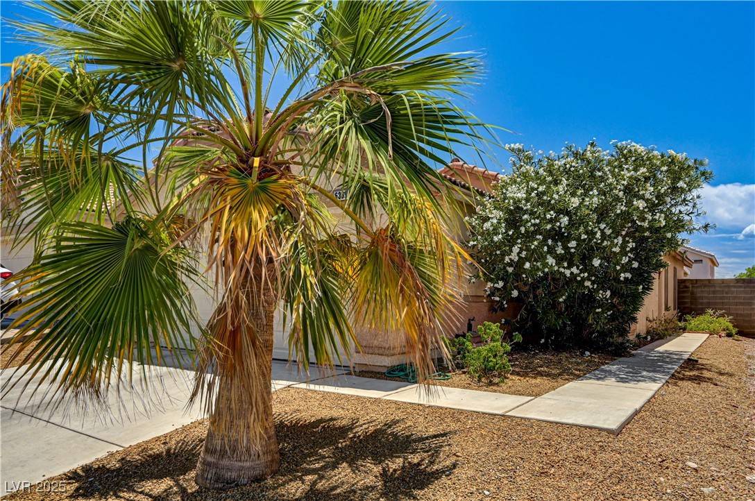 Las Vegas, NV 89142,6369 Bushkill Creek CT