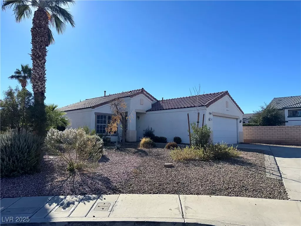 Henderson, NV 89011,665 Saloon CT