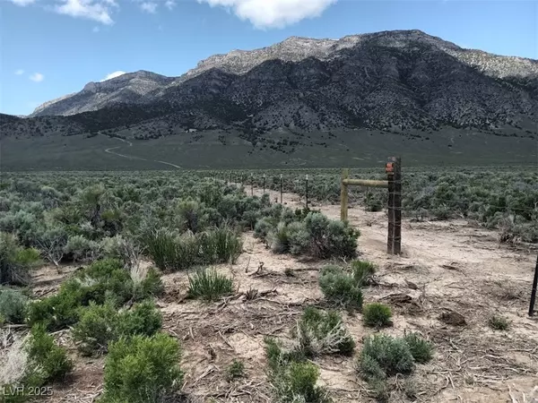 SR 892 to Newark Valley (Strawberry Road), Ely, NV 89301