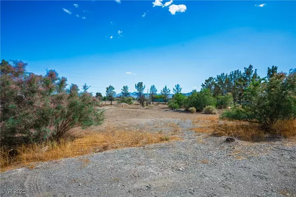 Pahrump, NV 89048,1351 Fawn ST