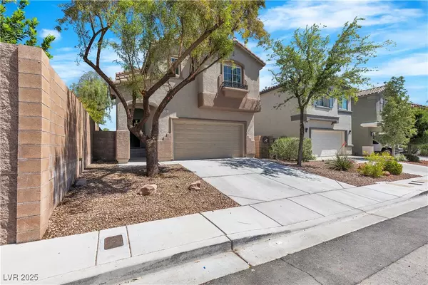Las Vegas, NV 89141,6282 Dollar Bill CT