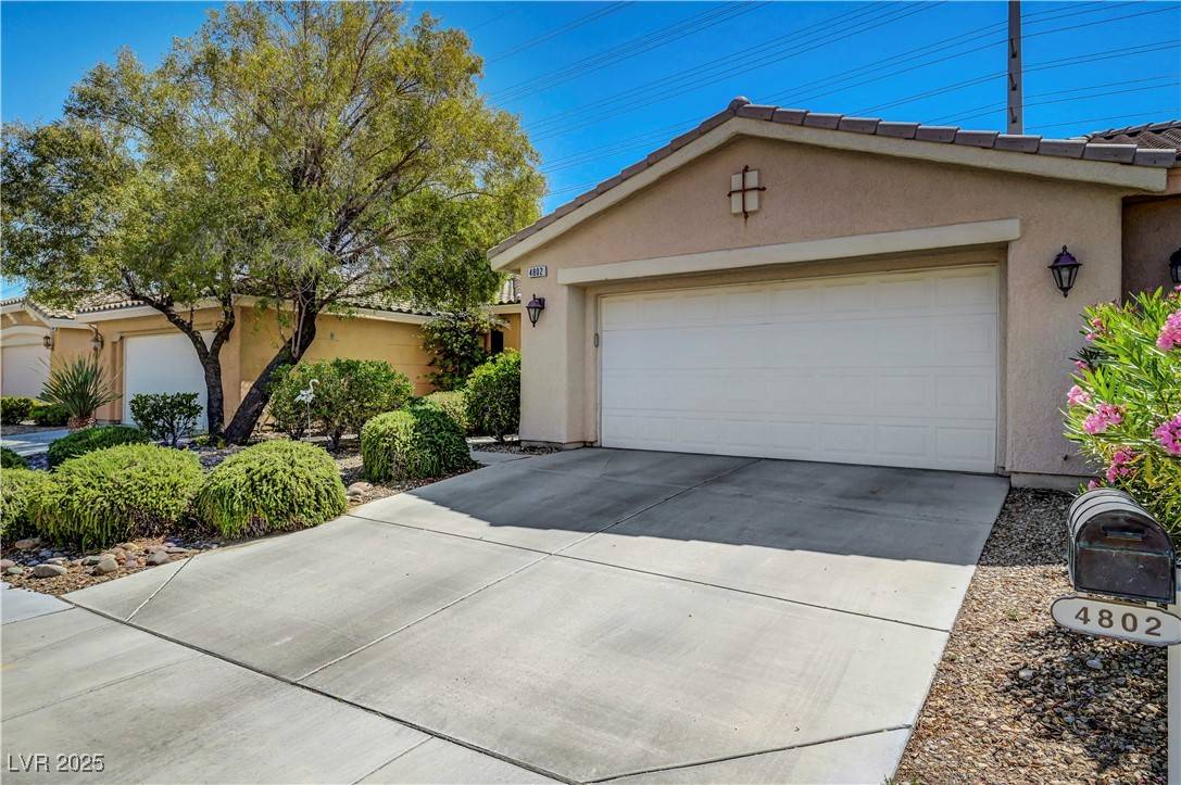 Las Vegas, NV 89135,4802 Regalo Bello ST