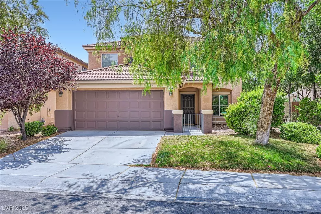 Las Vegas, NV 89138,529 Caribbean Palm DR