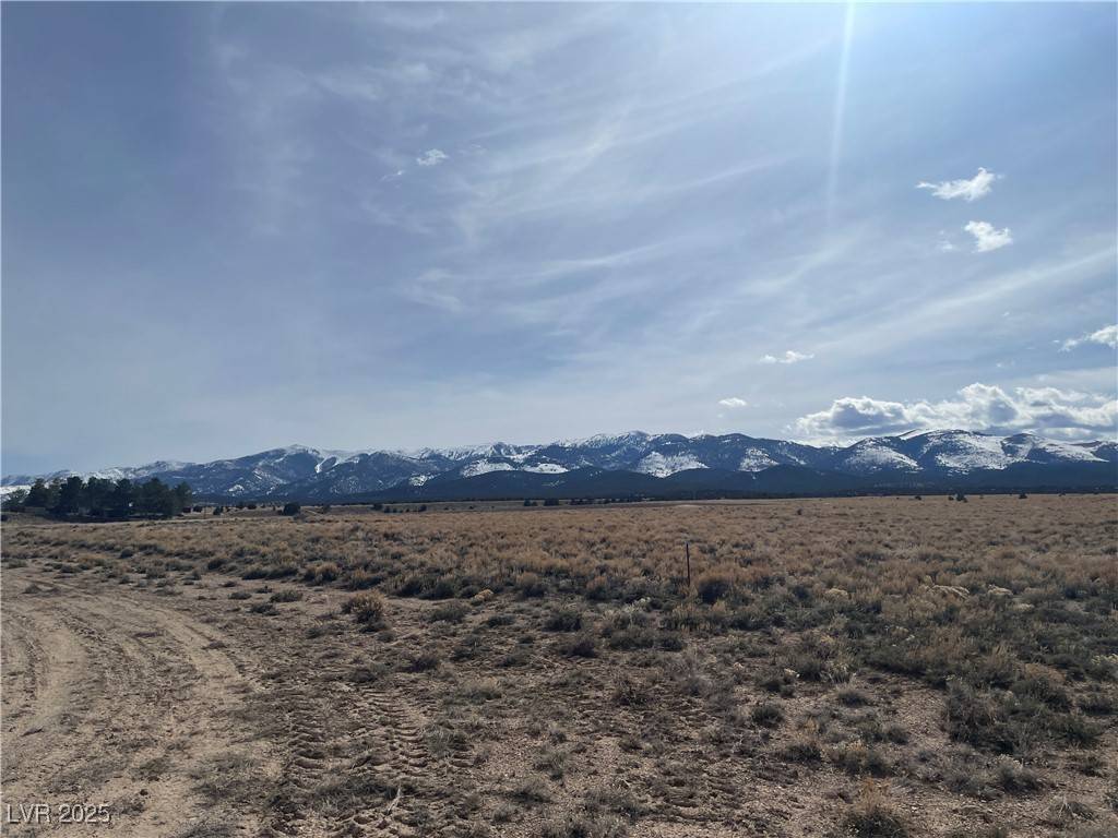 Ely, NV 89301,212th South Street