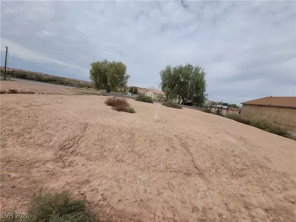 Overton, NV 89040,Deer St
