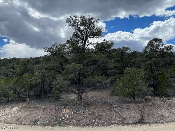 Ely, NV 89301,175 E Ward Mountain DR